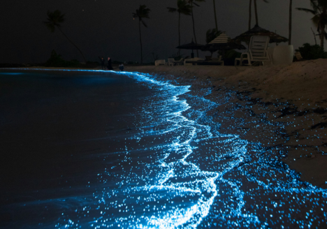 blue-tears-sekinchan