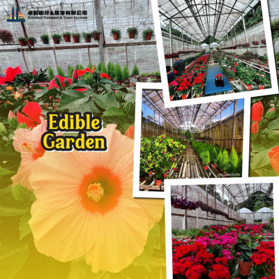 edible-garden-fraser-hill