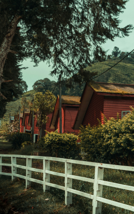 cameron-highlands-countryside