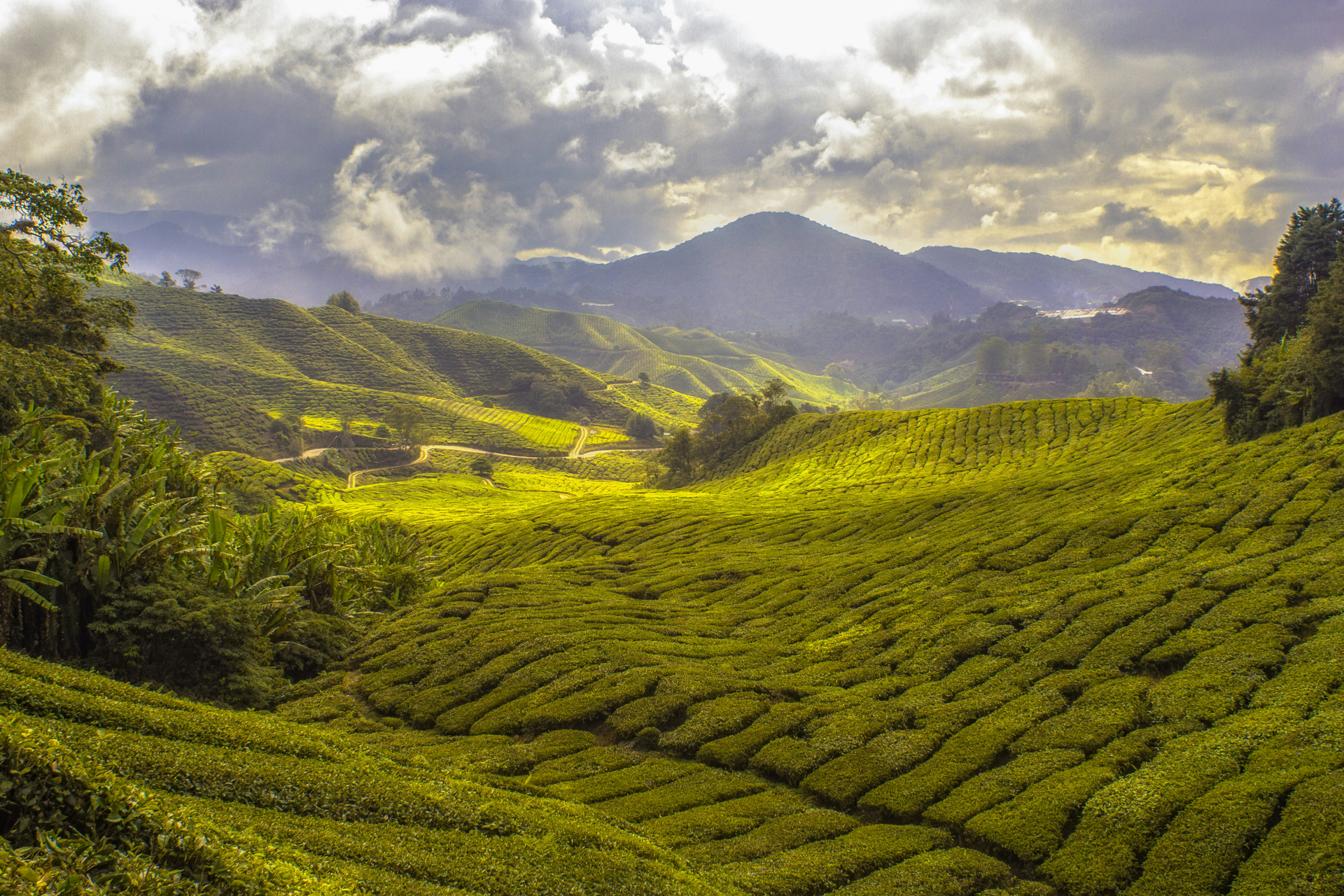 cameron-highlands-excellent-transport