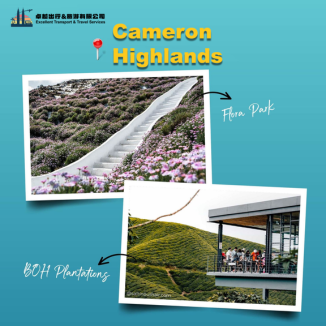  cameron-highlands.
