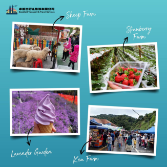 cameron-highlands