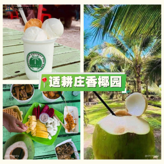 Sekinchan-Coconut-Farm
