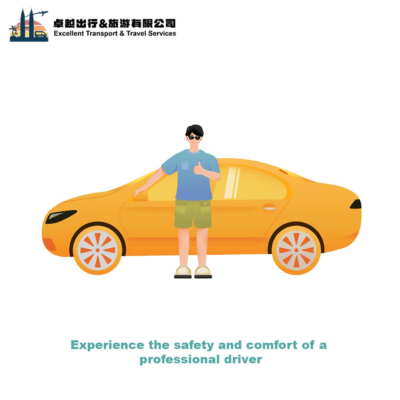 professional-driver
