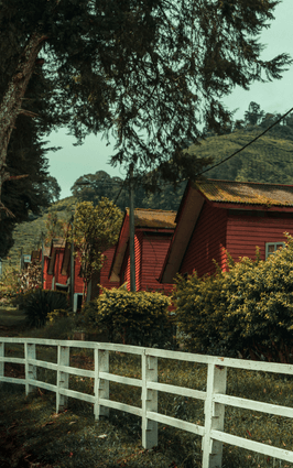 cameron-highlands-countryside