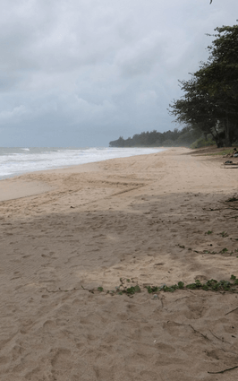 desaru-beach