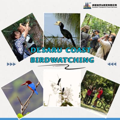 birdwatching-desaru-coast