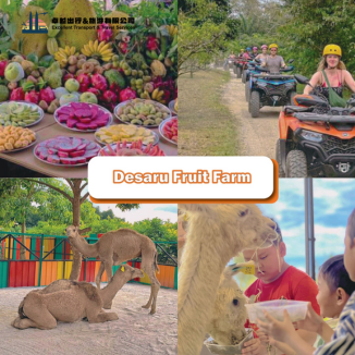 7-must-visit-family-eco-farms-in-johor-desaru-fruit-farm