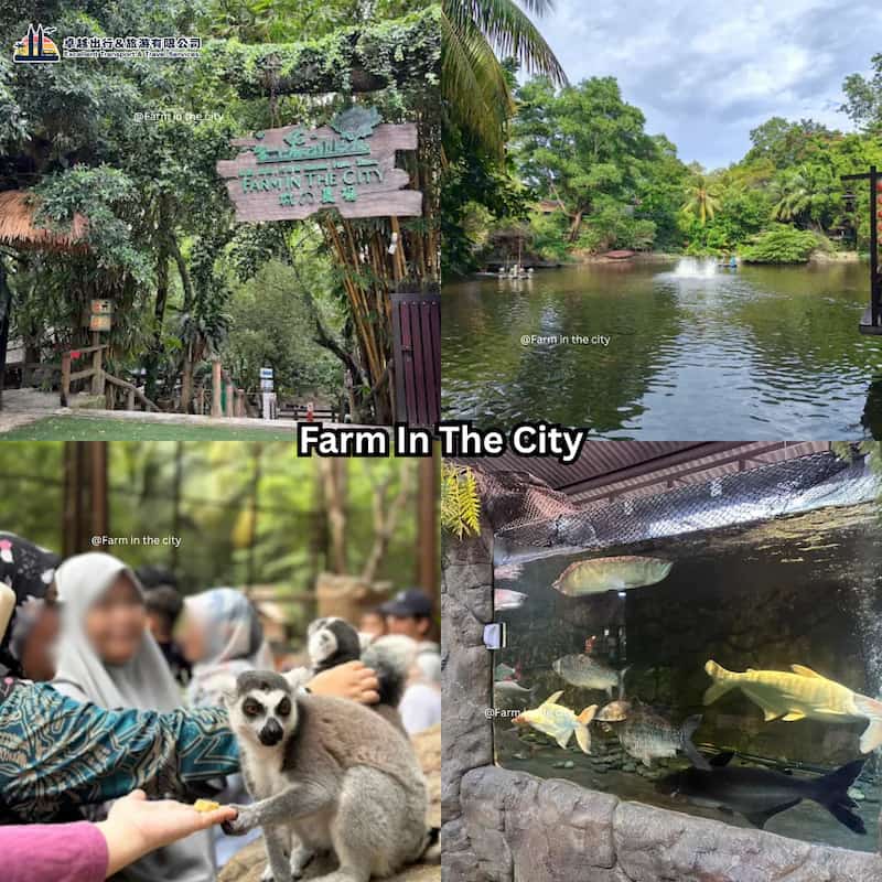Farm In The City entrance, lake, animals and aquarium near Kuala Lumpur
