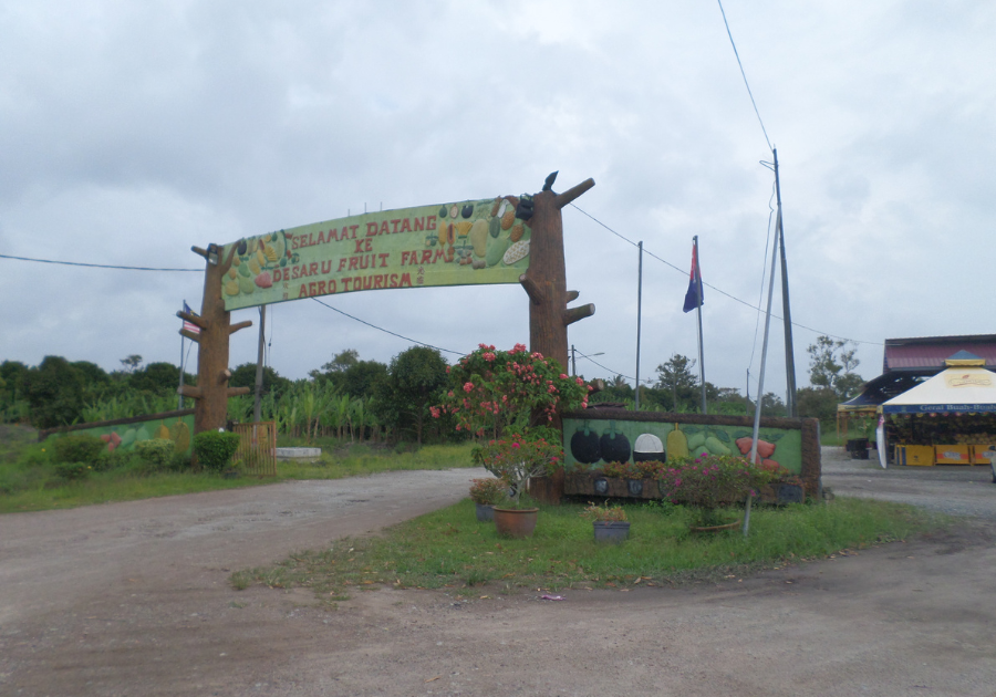 desaru-fruit-farm
