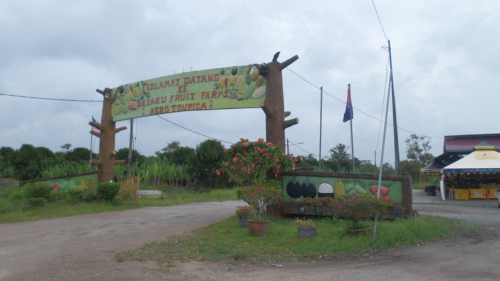 desaru-fruit-farm