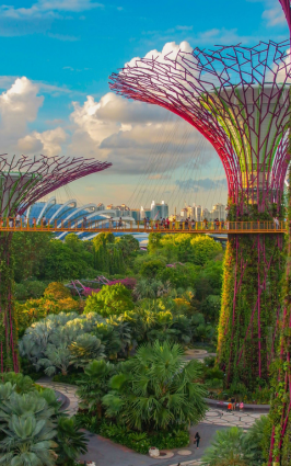 gardens by the bay