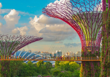 gardens-by-the-bay-excellent-transport-and-travel-services