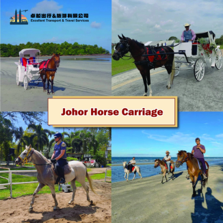 johor-horse-carriage