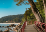 Boardwalk-at-Teluk-Cempedak