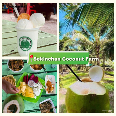 Sekinchan-Coconut-Farm
