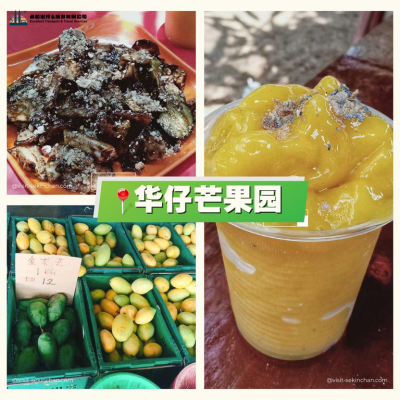 Sekinchan-Mango-King