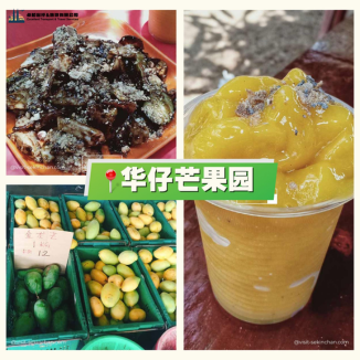 Sekinchan-Mango-King