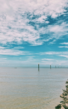 pantai-redang
