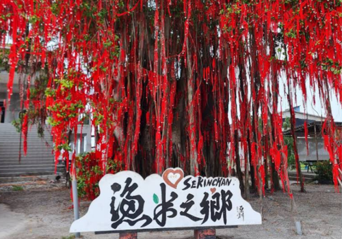 wishing-tree-sekinchan