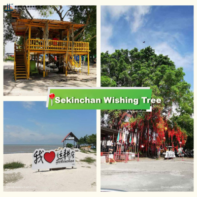 Sekinchan-Wishing-Tree