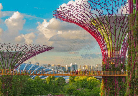 gardens-by-the-bay-excellent-transport-and-travel-services