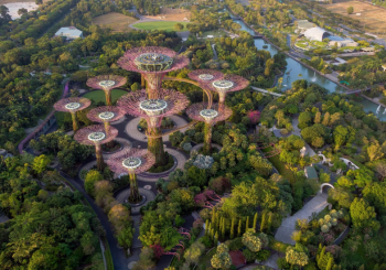 Gardens by the bay