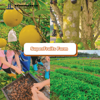 7-must-visit-family-eco-farms-in-johor-super-fruits-farm