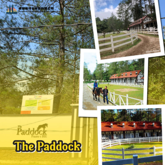 the-paddock-fraser-hill