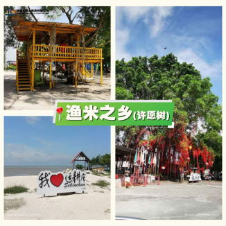 Sekinchan-Wishing-Tree-